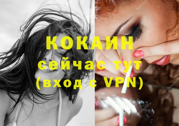 ешки Вязьма