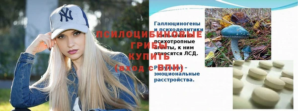 ешки Вязьма