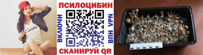 Галлюциногенные грибы Psilocybe  МЕГА ссылки  дарк нет официальный сайт  Назрань 